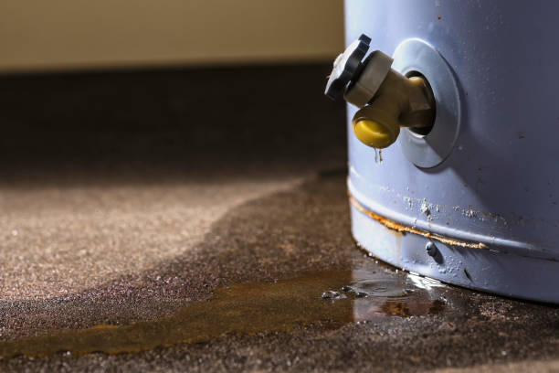 Best Mold removal after water damage  in Attica, IN