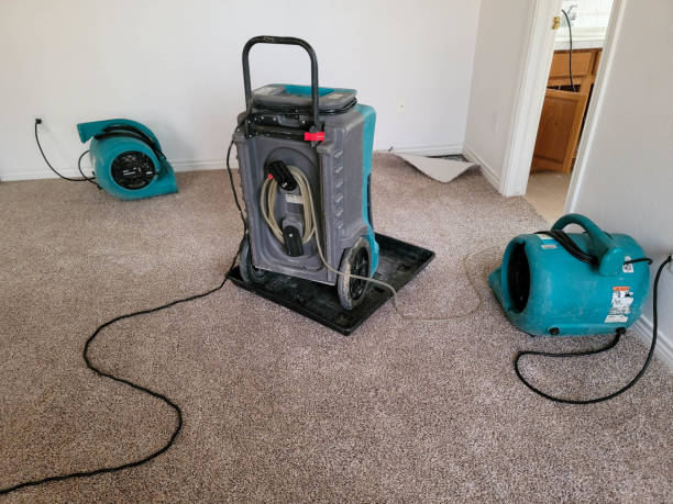 Best Ceiling water damage repair  in Attica, IN