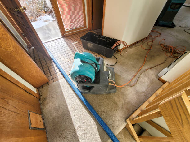 Best Basement water damage restoration  in Attica, IN