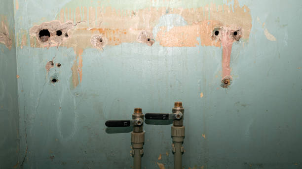 Best Water damage contractors near me  in Attica, IN